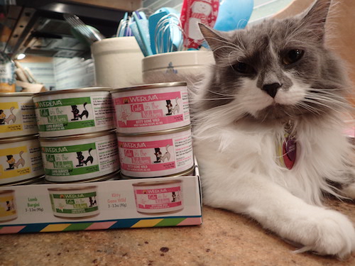 Lone Star Cats Weruva Cats In The Kitchen Variety Pack From Chewy