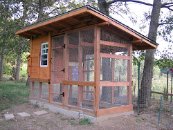 coop chicken attempt gardening blogthis email