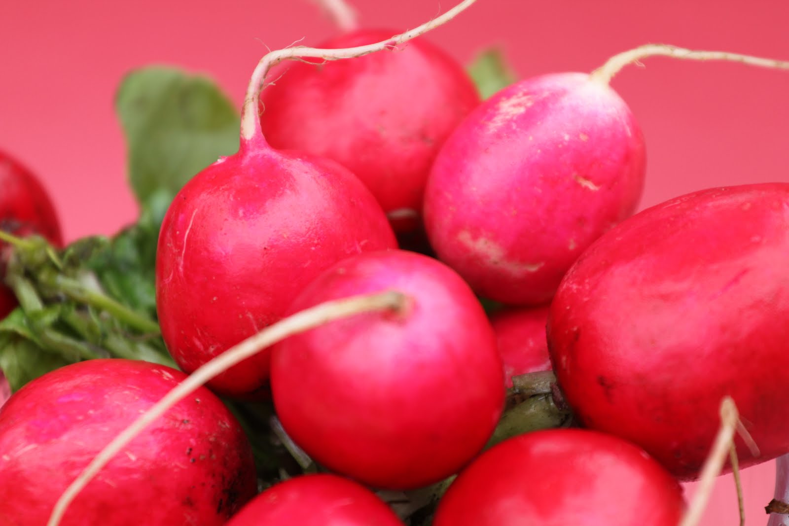 Pots and Frills Radish and Potato SaladInto Spring