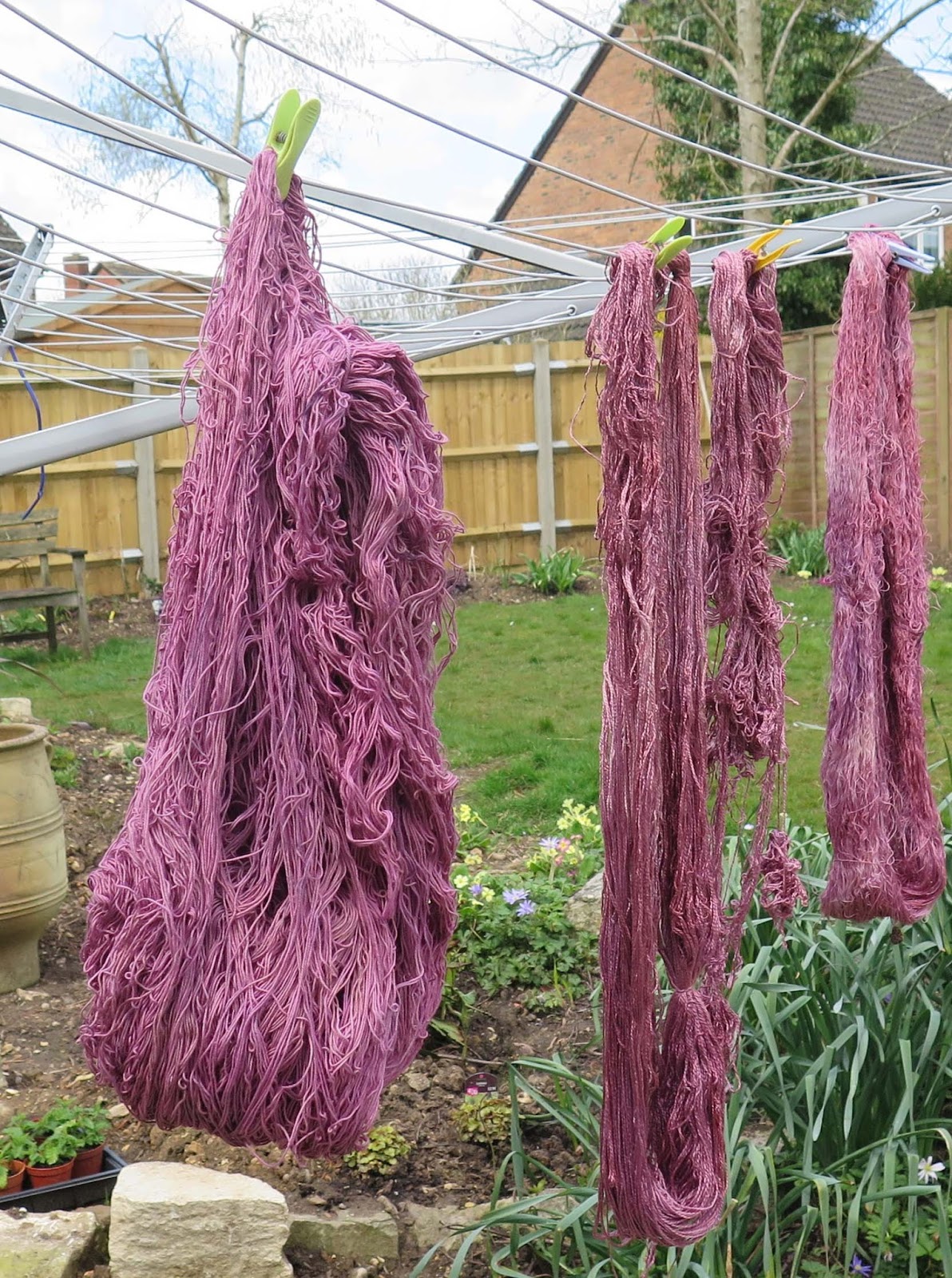 Purple Donsu Procion Dyeing