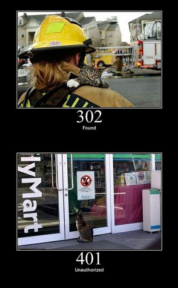 Boredom Crusher HTTP Error Codes And Cats. Because The Is