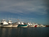 December at the OBX