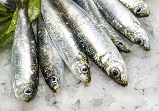 Σαρδέλες: ψάρια πολύτιμα για την υγεία σας