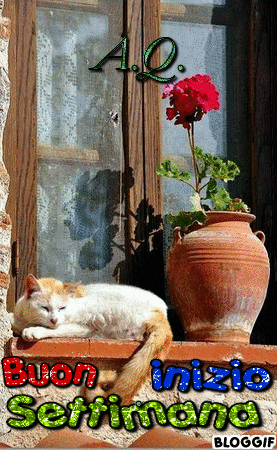 Digitando : Buon Lunedì