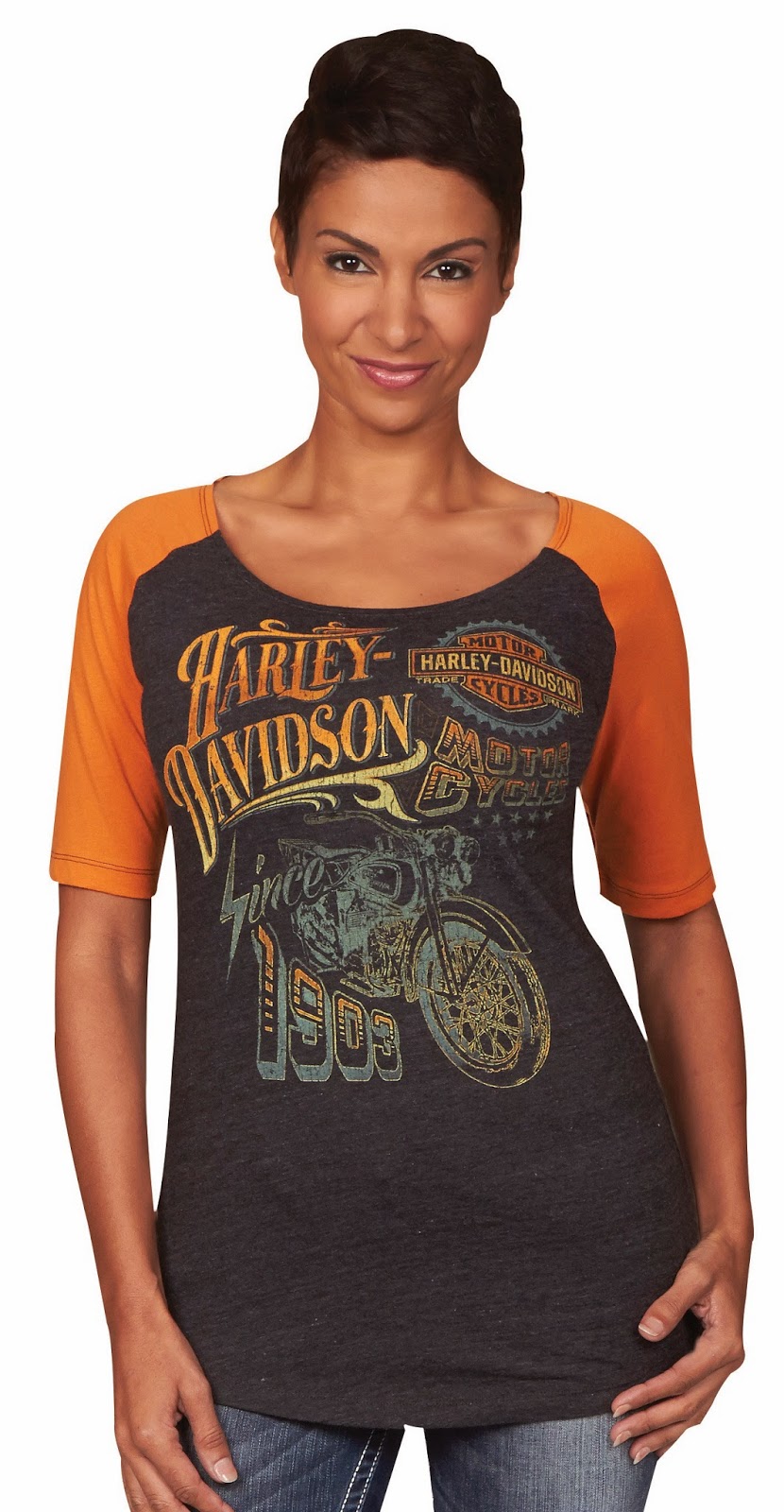 Harley Davidson Motorcycle