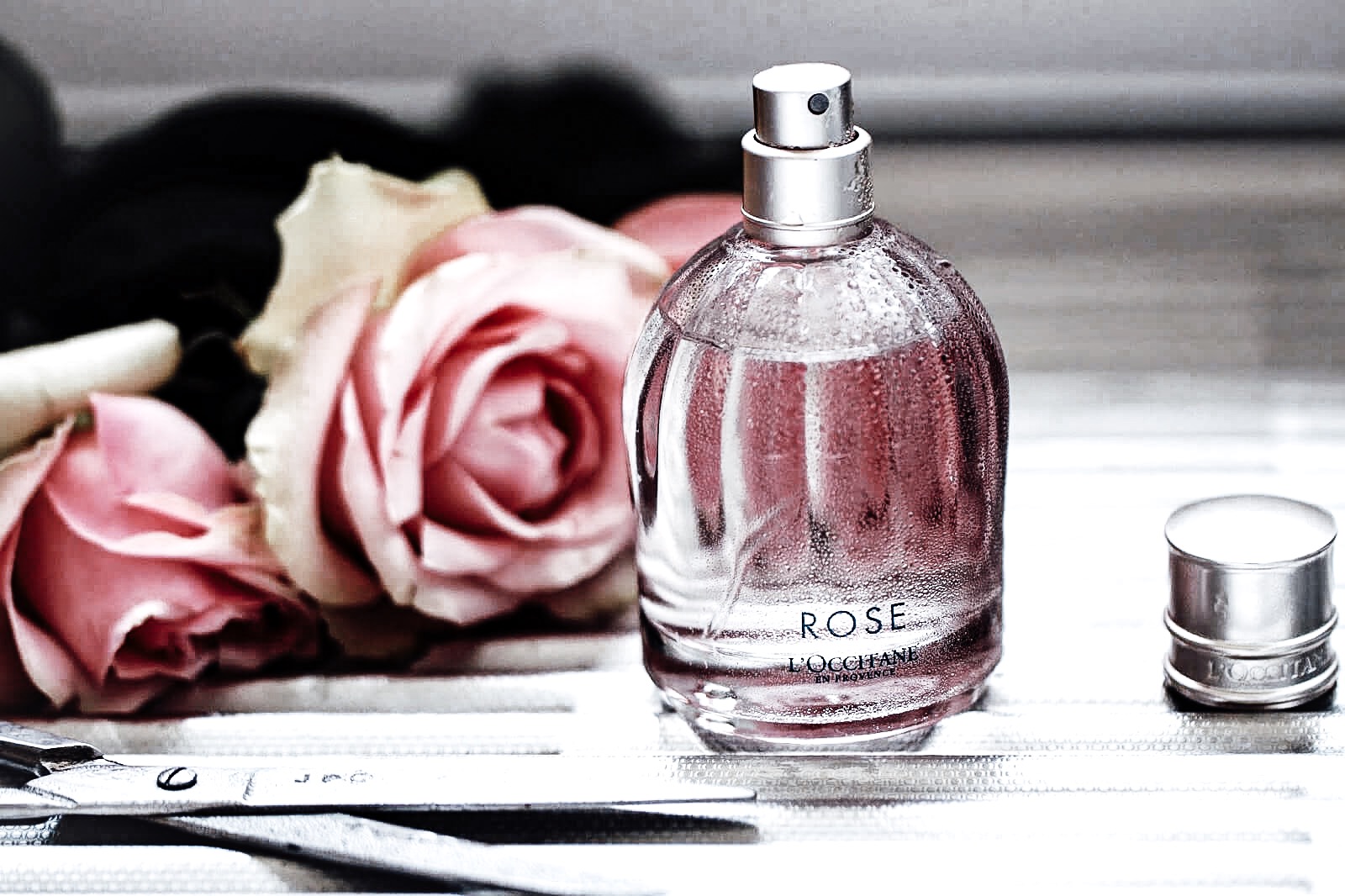 Les Fleurs Langage Universel Du Coeur Tropics Magazine