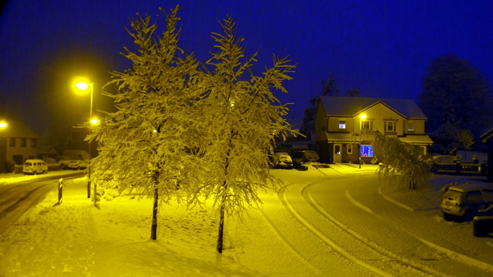 The Glebe Blog: Overnight Snow 16th December 2011
