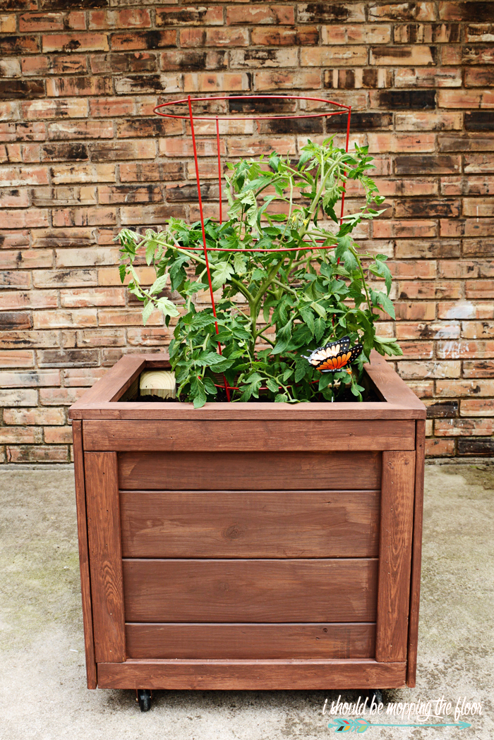 i should be mopping the floor DIY Planter Box with Wheels