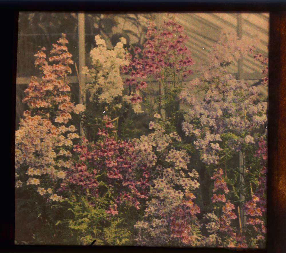 Early Autochrome Photography Beautiful Color Photos of Natural