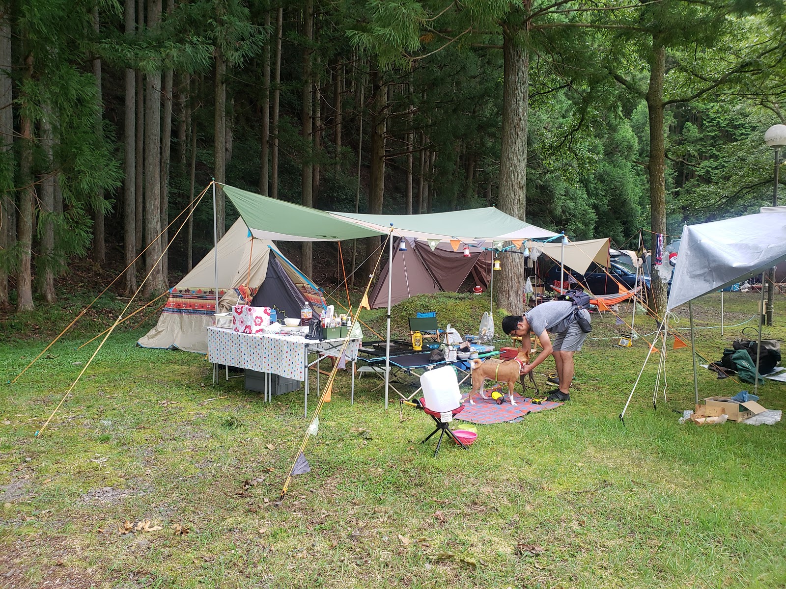 アメ車でワンワンキャンプ