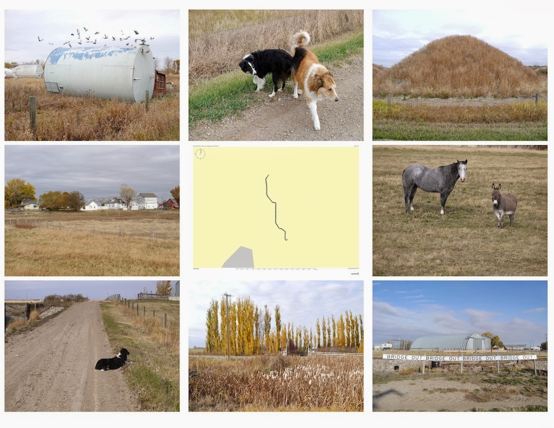 Don Gill Walking Lethbridge CountySunnyview Acres