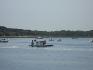 Wellfleet Recycled Oyster Shell Barge