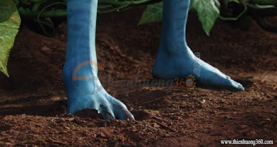 Trong hình hài Avatar, lần đầu tiên Jake được chạm chân xuống mặt đất