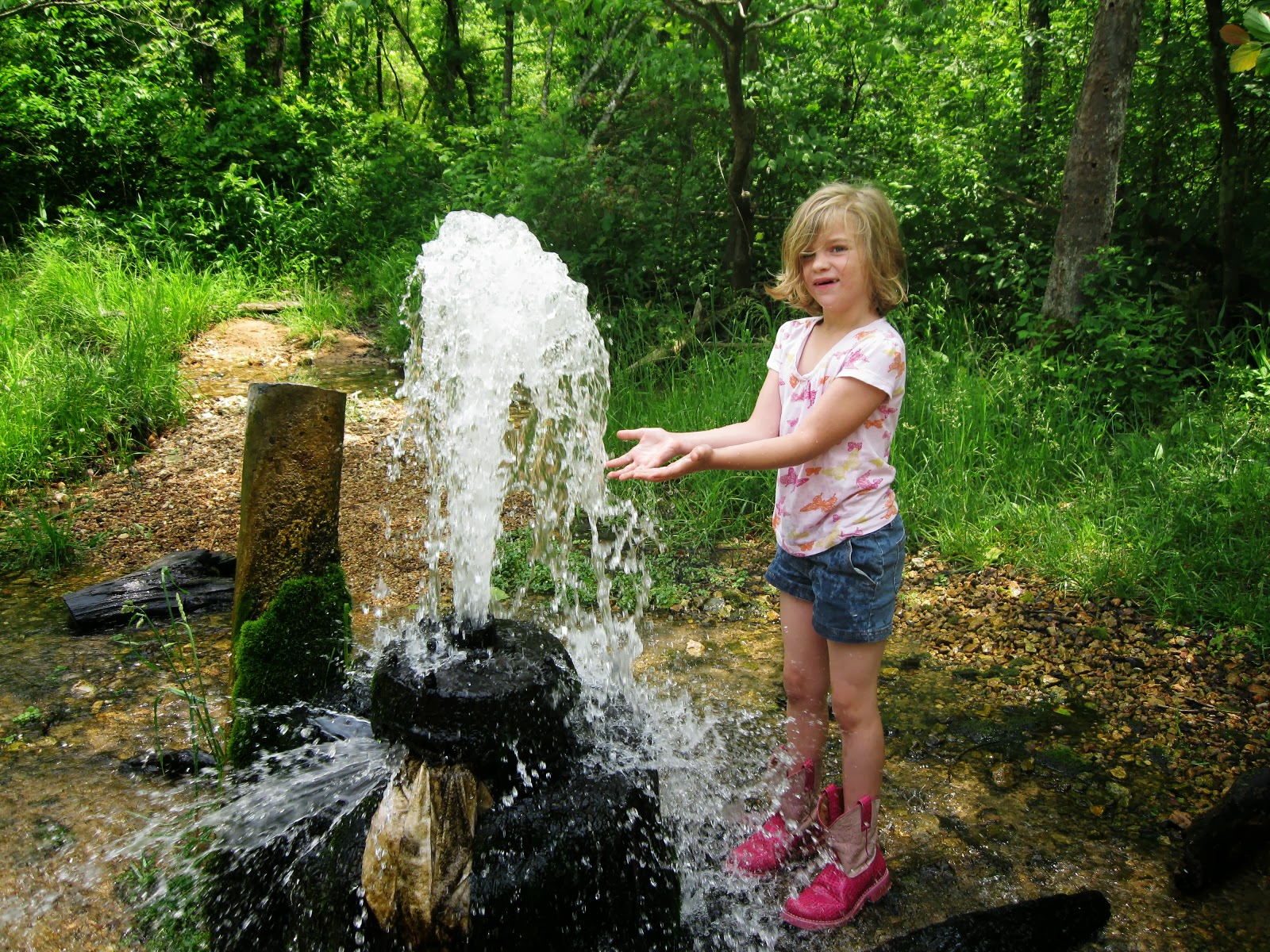 Adventures Among Us Photos of Sycamore Valley Artesian near Marquand, MO