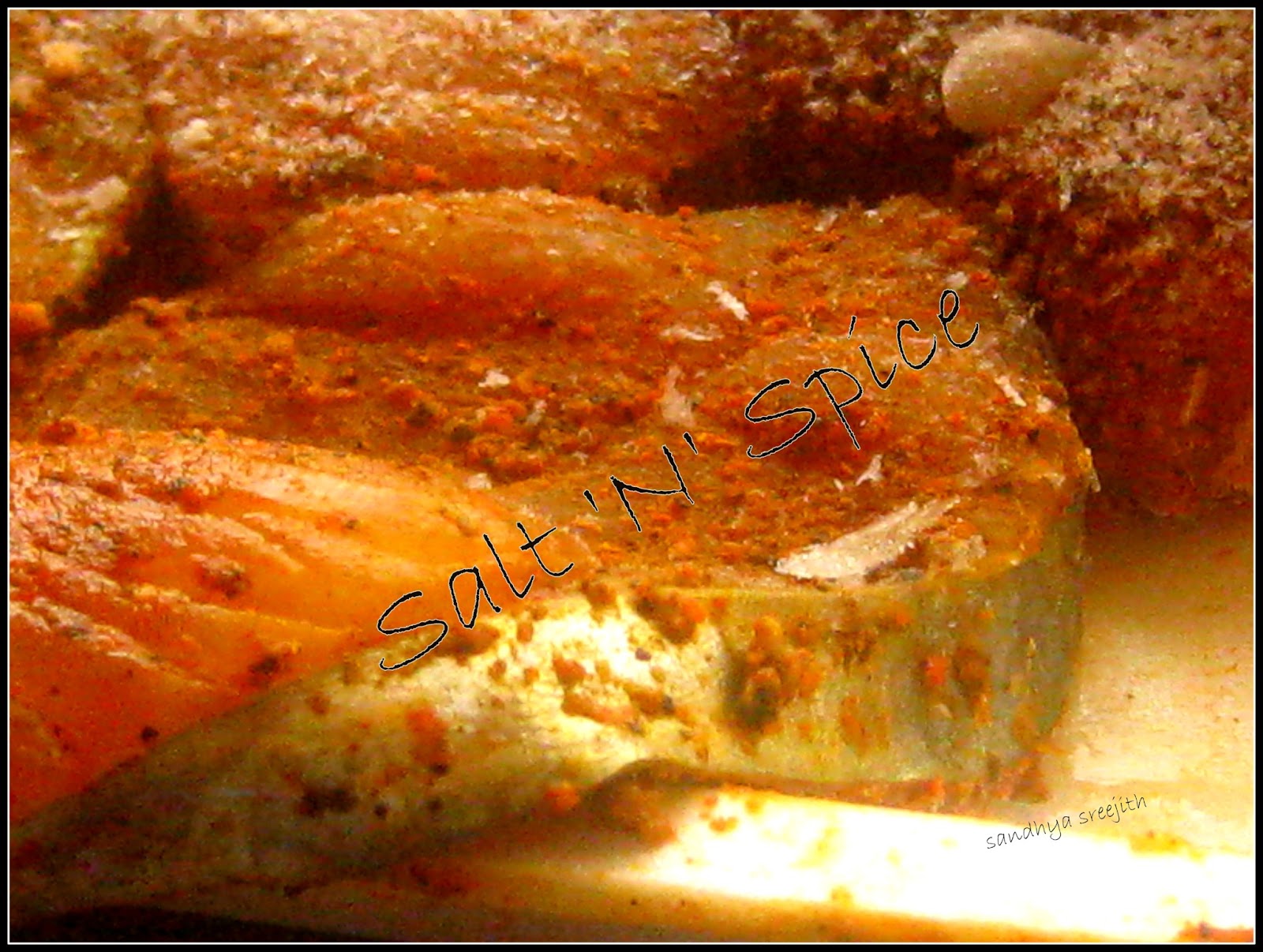 Salt 'n' Spice The Essence of Indian cooking King Fish Fry