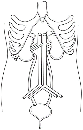 science diagrams science diagrams
