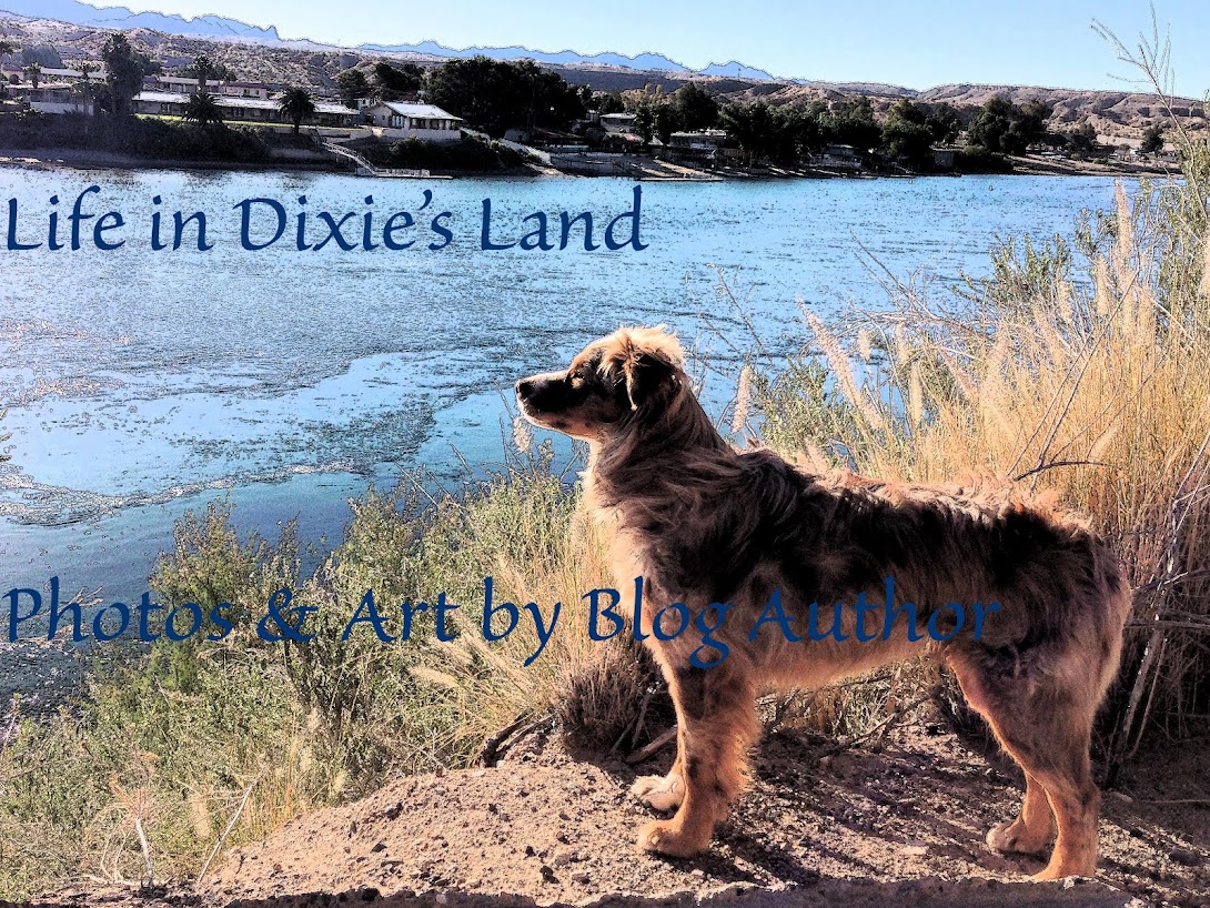 Life in Dixie's Land
