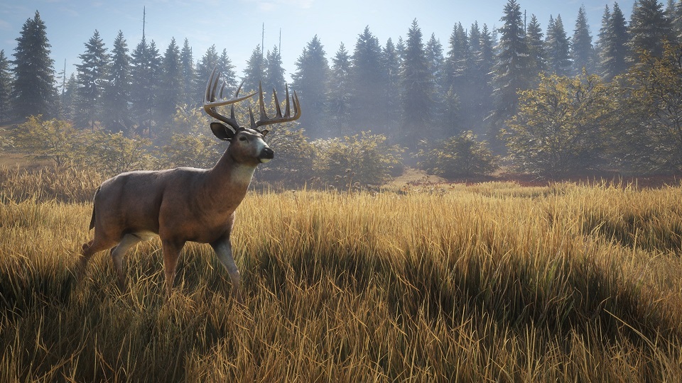 Gamebakudon theHunter Call of The Wild Review