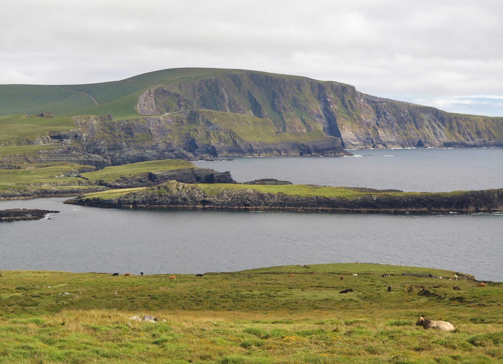 Gypsy Monika Ireland's Skellig Ring Road