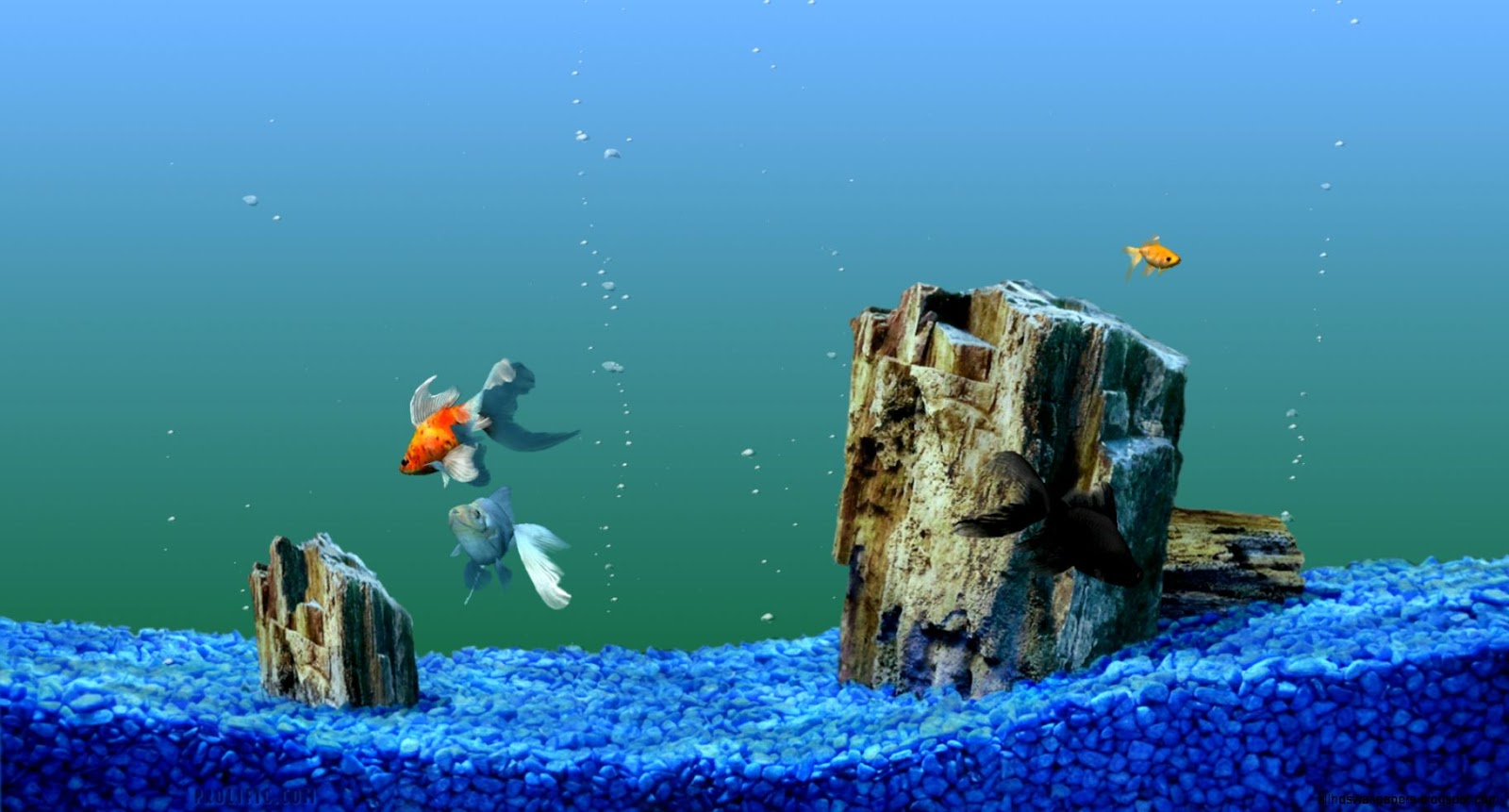 Computer Fish Tank Screensaver