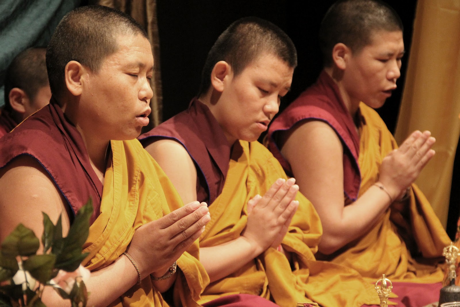 Southwest Daily Images Buddhist Nuns