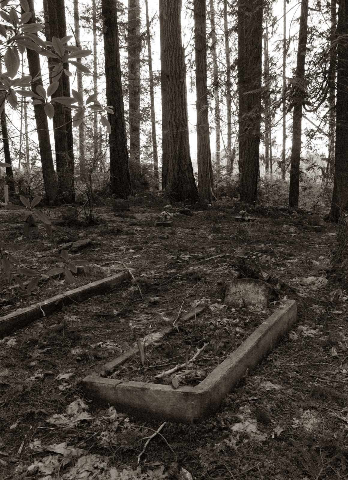 Forgotten Pacific Northwest: Ballow Cemetery, Mason County, Washington