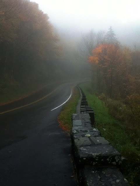 Fog on the Blue Ridge Parkway
