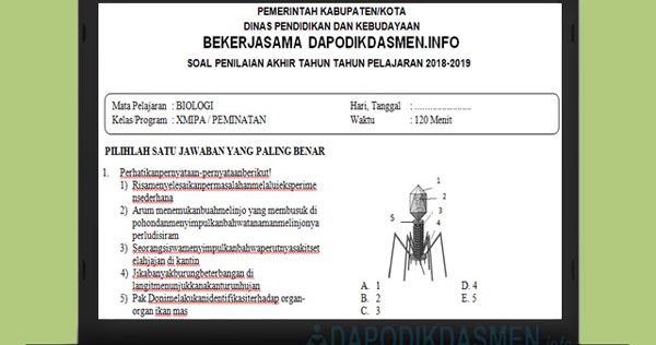 Soal Pat Ukk Biologi Sma Ma Kelas 10 Kurikulum 2013 Tahun 2019