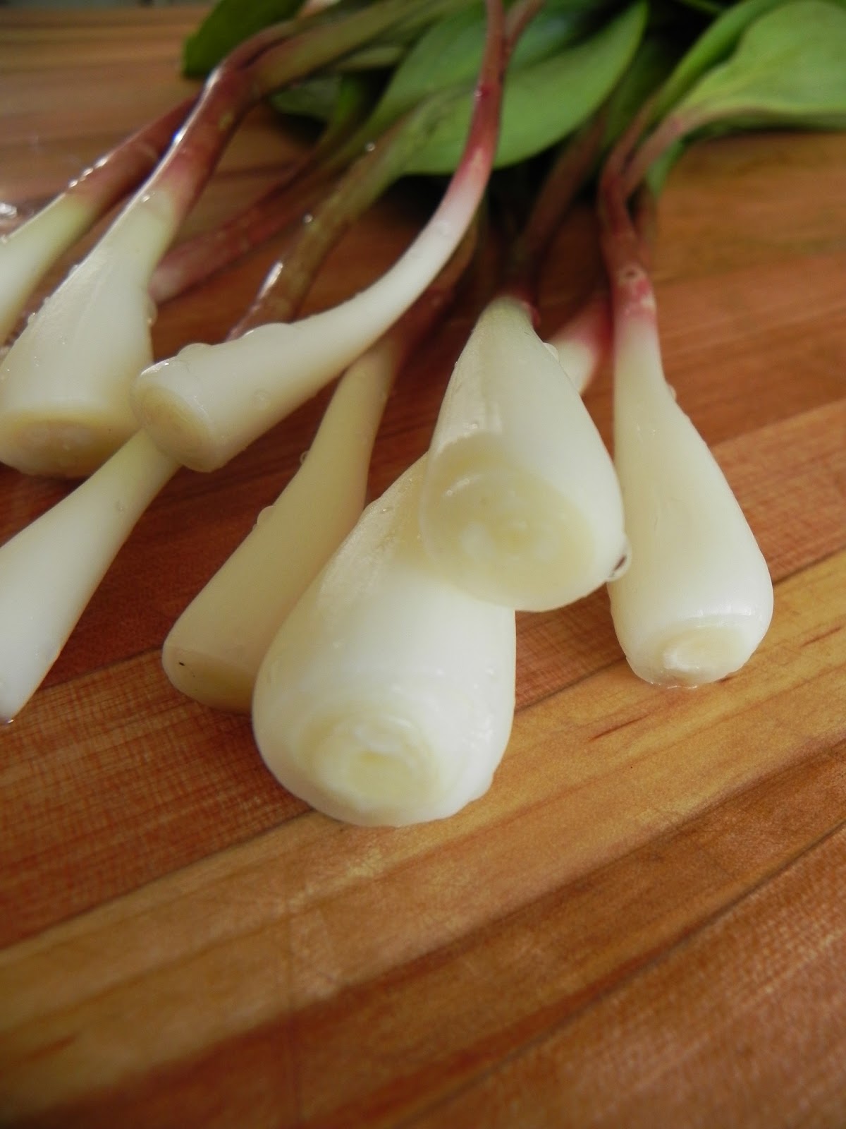 Let Them Eat Healthy Turkey & Wild Ramp Meatloaf over Mashers with