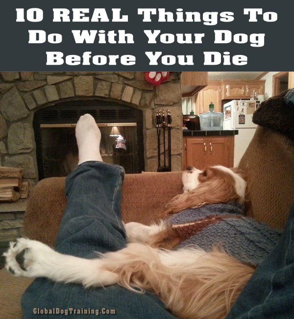 Dog Bucket List 10 REAL Things To Do With Your Dog Before You Die
