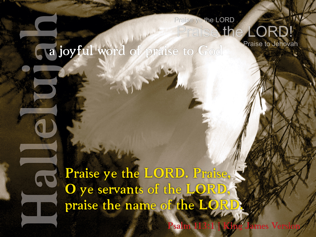 Hilldale s Worship Ministry Psalm 113 First Thoughts hilldale-s-worship-ministry-psalm-113-first-thoughts