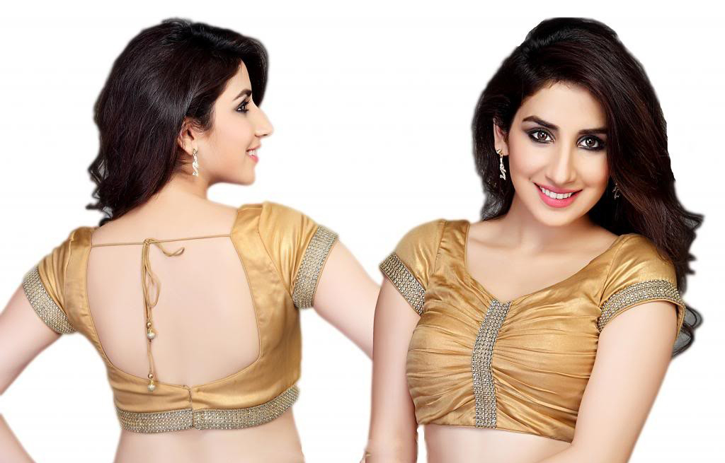 photo Saree Blouse Design Back And Front perfect design.