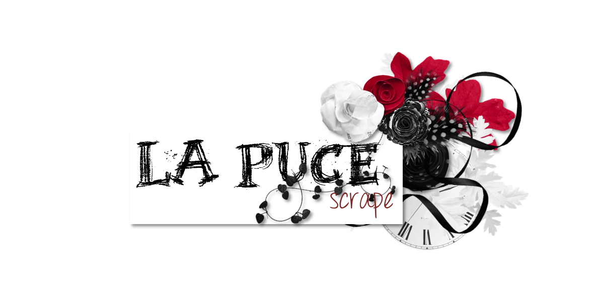 La puce scrape...