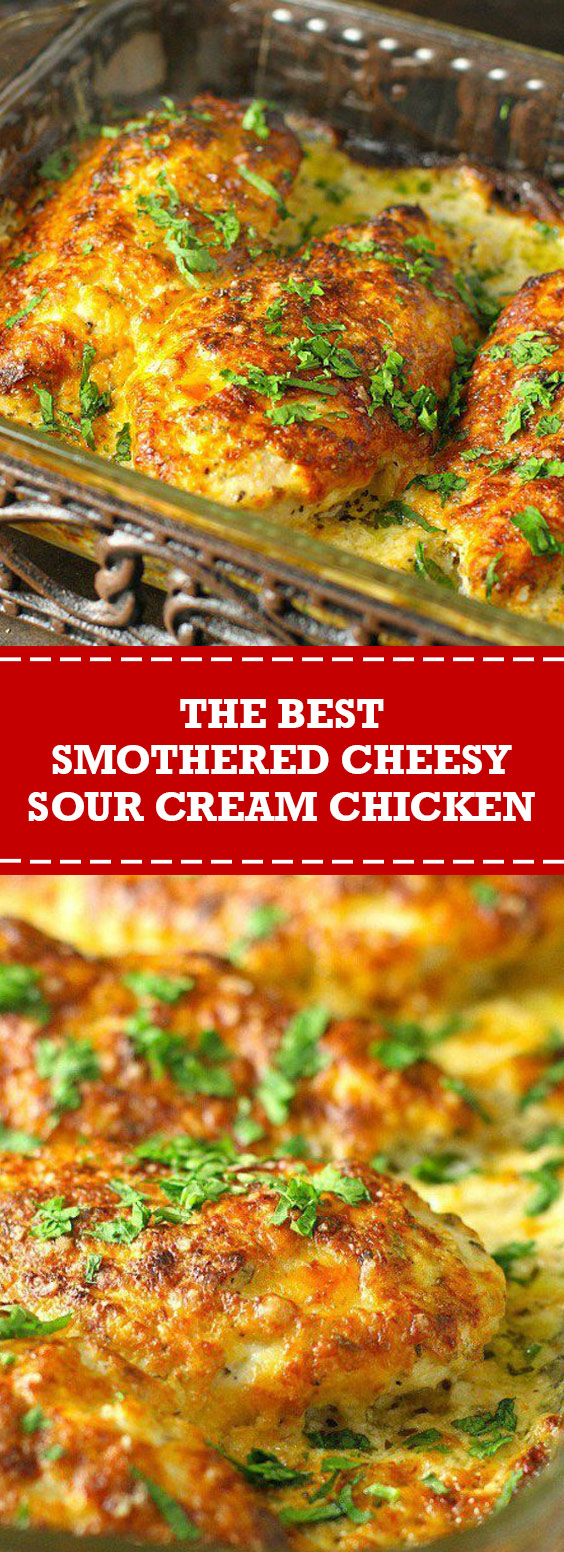 The Best Smothered Cheesy Sour Cream Chicken