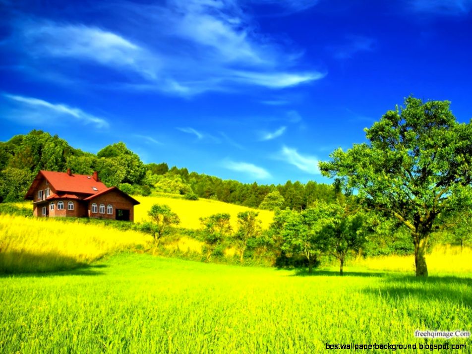 Relaxing Nature Scenes