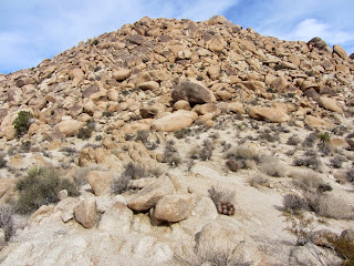 View south toward Mount Mel from the saddle, Indian Cove, Joshua Tree National Park
