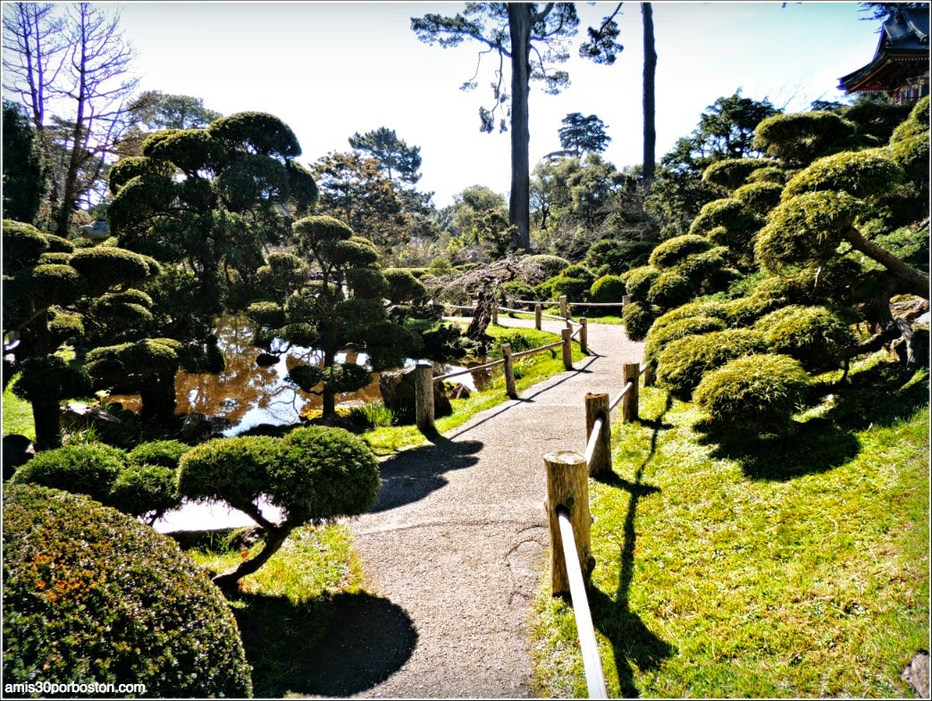 Japanese Tea Garden: San Francisco