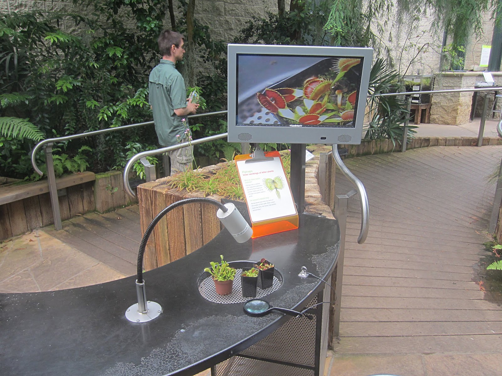 ЛА + Пасадина ЛА + Пасадина