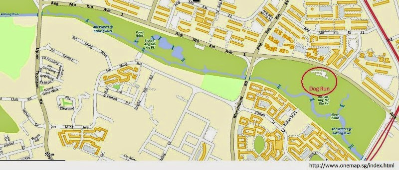 Noob Guidance: Bishan Park Dog Run