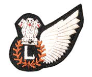 IAF Electronic System Operators (Aircrew) Badge