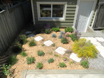Leslieville xeriscape garden install after by Paul Jung Gardening Services Toronto