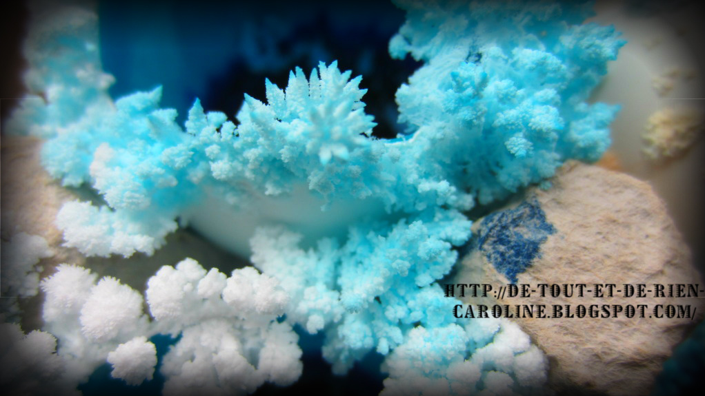 De tout et de rien Activités pour le Préscolaire Growing a salt crystal garden in the science