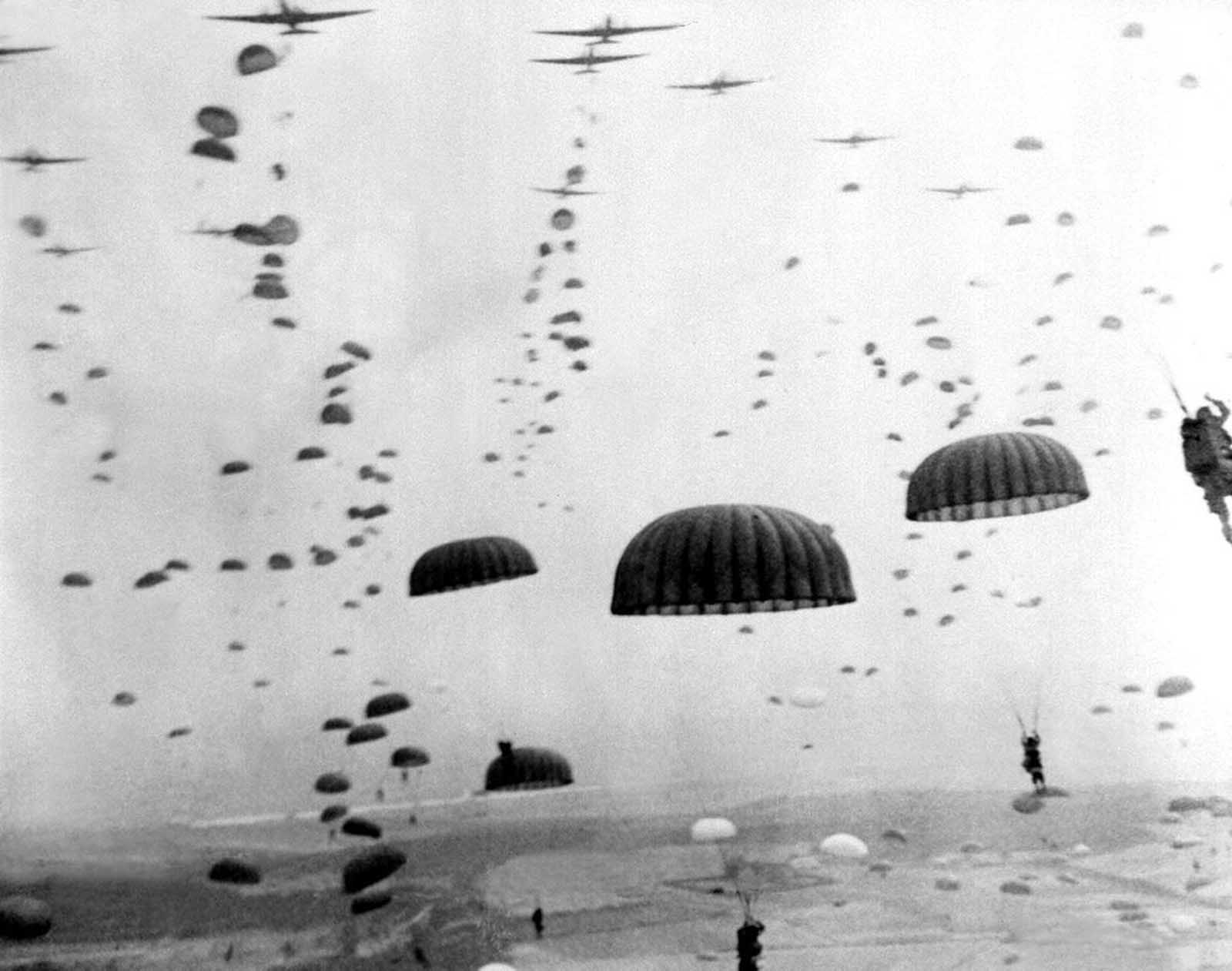 Parachutes open as waves of paratroops land in Holland during operations by the 1st Allied Airborne Army in September of 1944. Operation Market Garden was the largest airborne operation in history, with some 15,000 troops were landing by glider and another 20,000 by parachute.