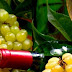 ΚΕΟΣΟΕ: Μηδαμινά τα κρατικά έσοδα από τον ΕΦΚ στο κρασί