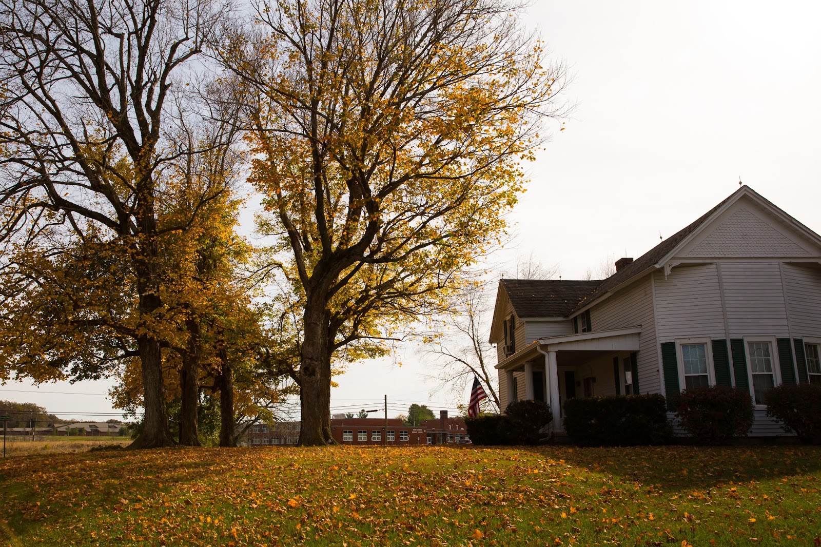 Lincoln's Domain Cecilia, Kentucky