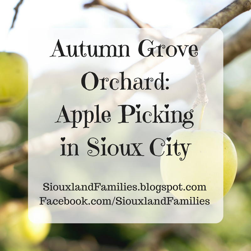 Autumn Grove Orchard Apple Picking in Sioux City