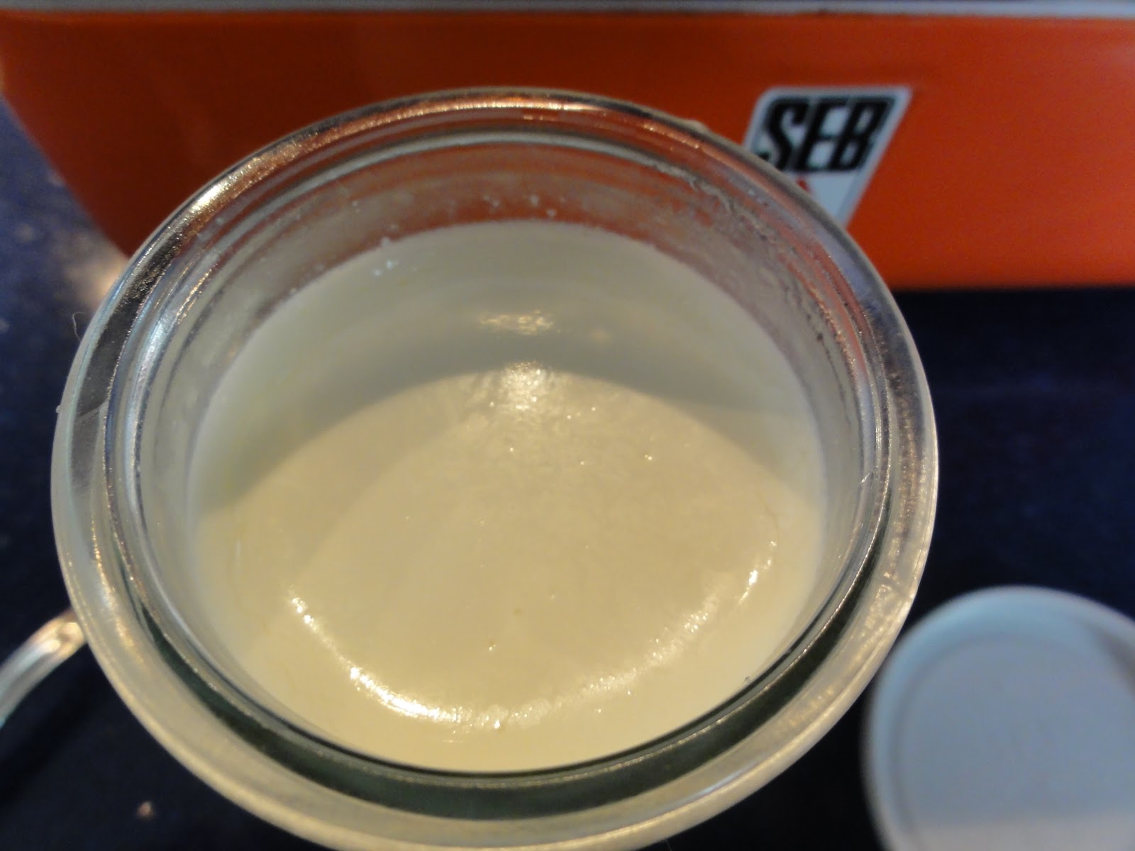 La cuisine de Kittie: Yaourt à la grecque maison