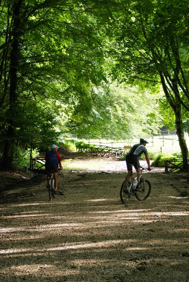 Umbra Forest in Gargano bike
