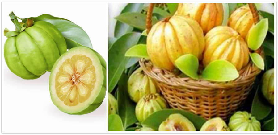 Garcinia cambogia - extracto ácido hidroxicítrico - saciante, sobrepeso