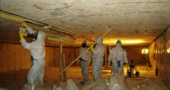 Environmental And Ecological Services in Steuben, ME - Yahoo